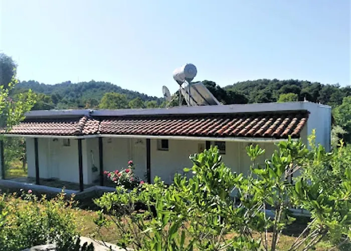 Σπίτι διακοπών Kaiti 1 Κουκουναριές